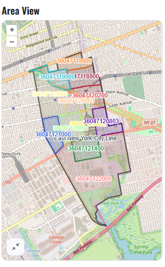 Overview colors for East New York tracts.